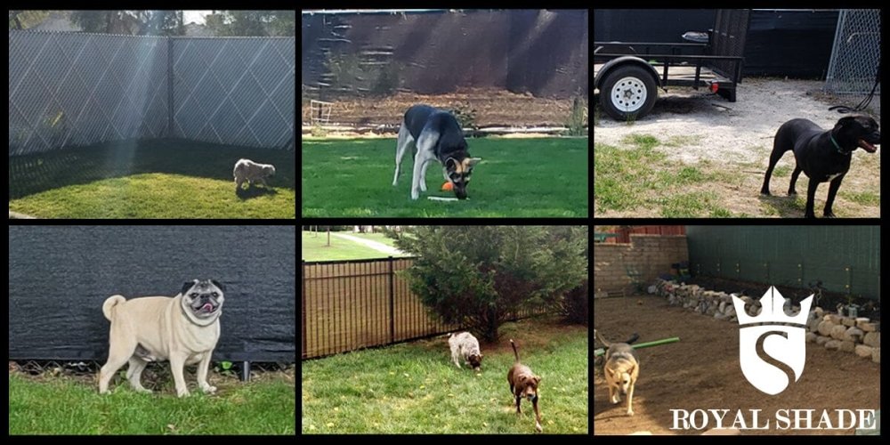 The Benefits of Artificial Grass for your Backyard, Patio, or Balcony - Royal Shade USA