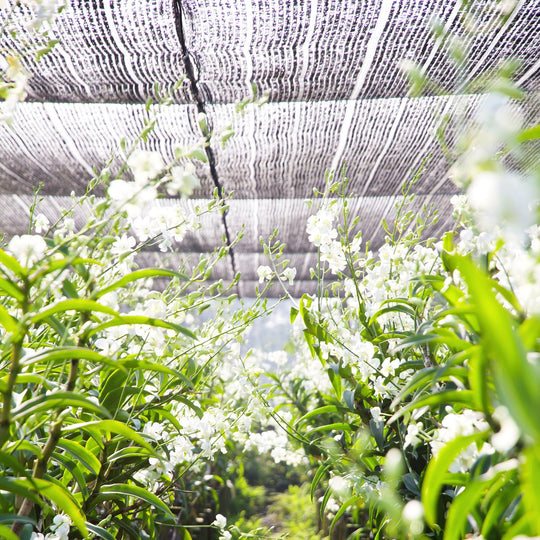 Royal Shade Shade Cloth