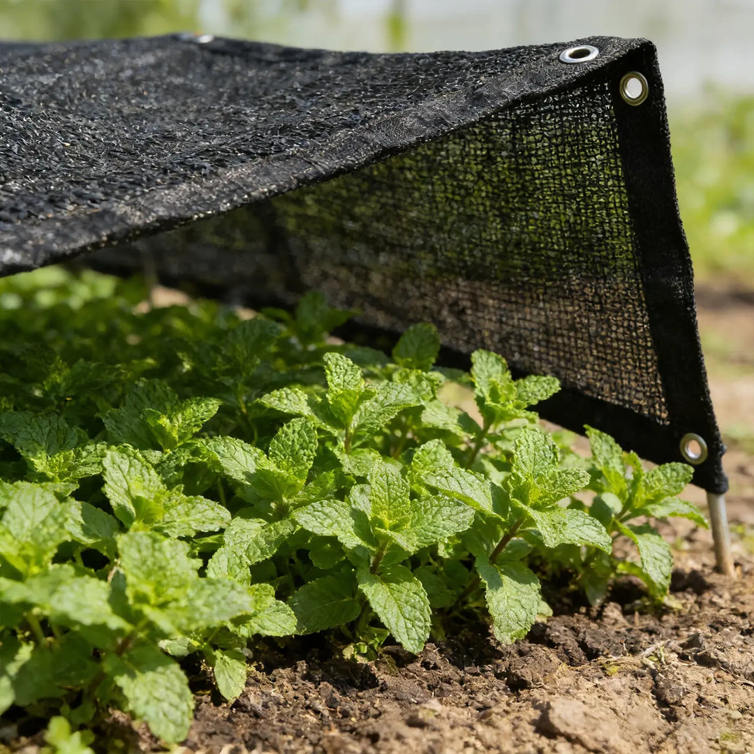 70% Sunblock Black Garden Shade Cloth Mesh Tarp