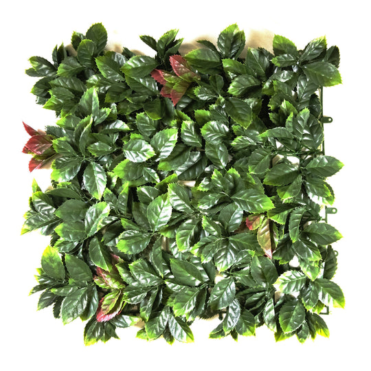Red Tip Photinia Leaves (12 Pack)