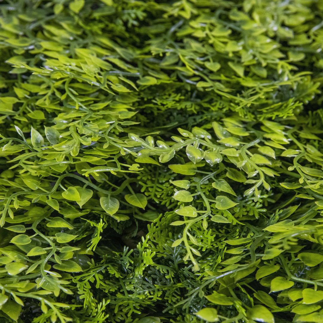 wintergreen fern 12 pack